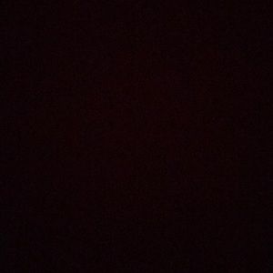 Meet your Posher, Carmen